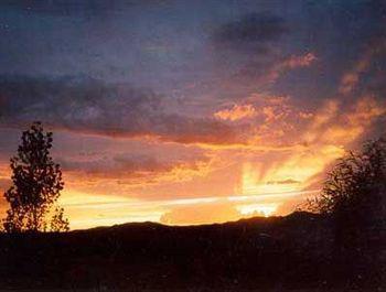Sundance Bear Lodge Mancos Ngoại thất bức ảnh