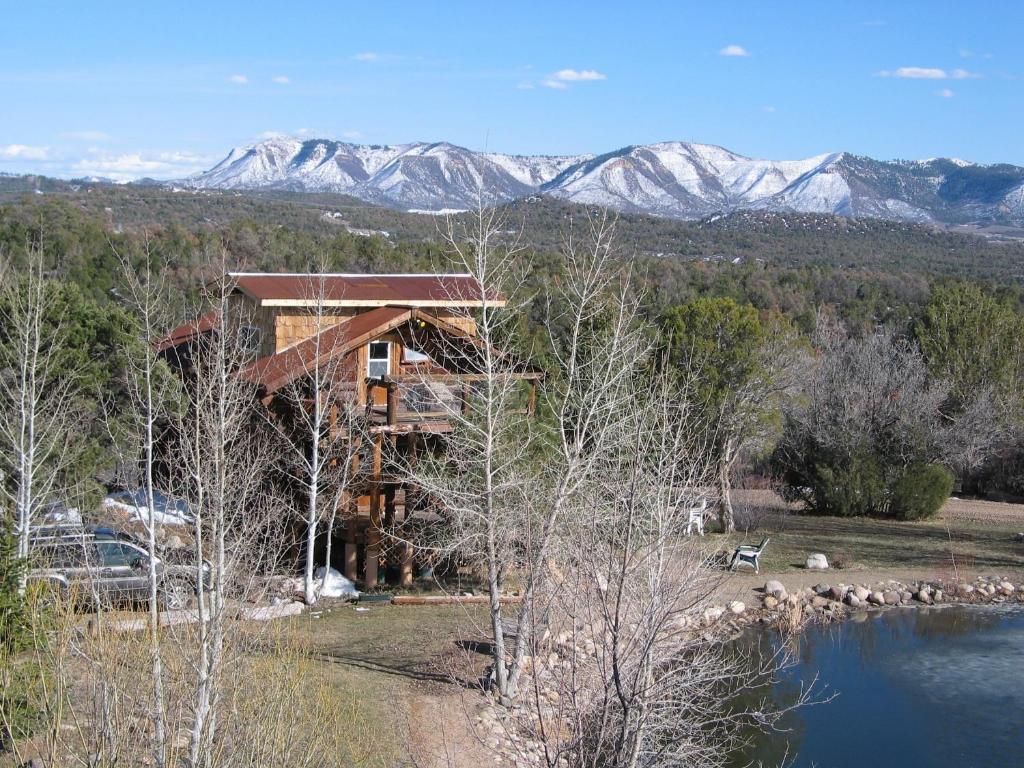 Sundance Bear Lodge Mancos Phòng bức ảnh